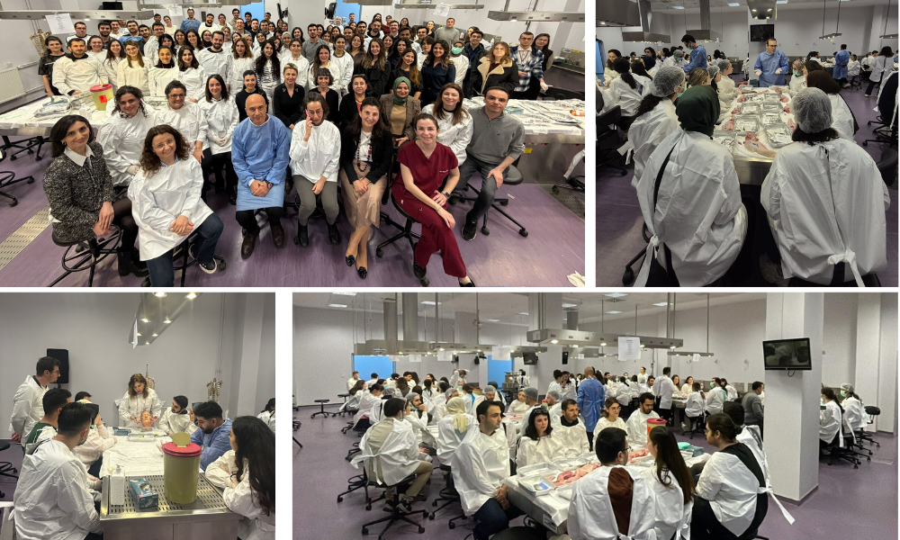 Türk Dermatoloji Yeterlik Kurulu